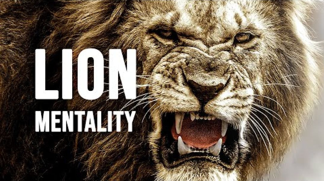 ⁣LION MENTALITY - Motivational Video
