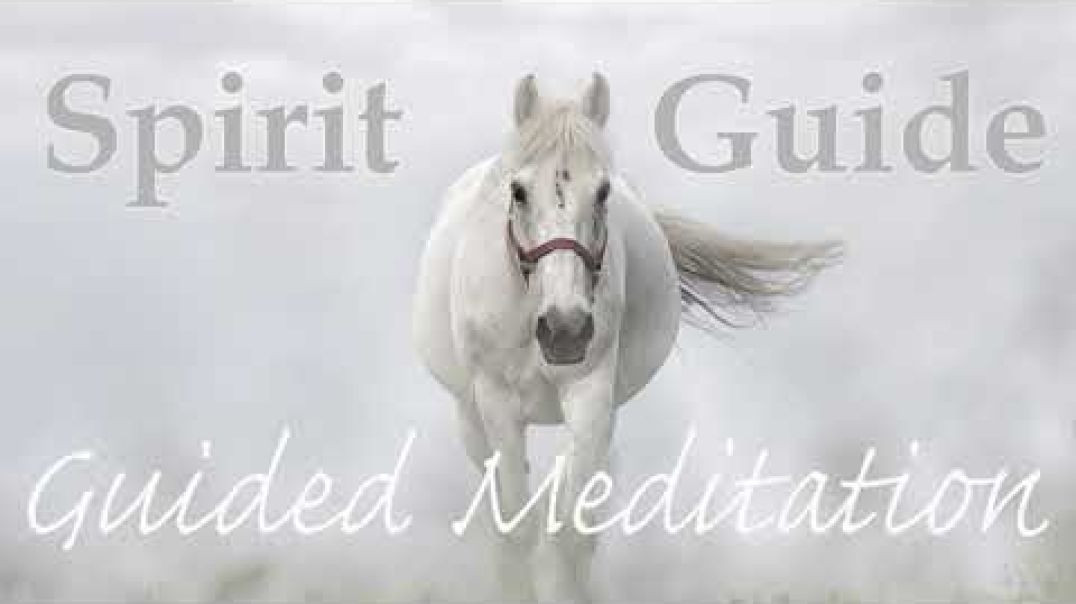 Connect &amp;amp; Receive Guidance ~ Meet Your Spirit Guide ~ Guided Meditation